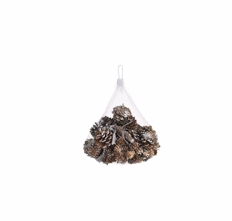 Decoratieve dennenappels met boomschors en sneeuw effect in wit en bruin voor kerst en herfst