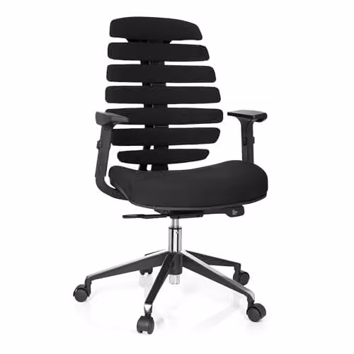 hjh OFFICE Ergo Line II Professionele Bureaustoel met Lendensteun en Verstelbare Armleuningen, Zwart, Stof