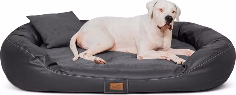 Tierlando Orthopedisch hondenbed LENNART VIP VISCO PLUS in kunstleer en velours, Grafiet, 140 x 105 cm
