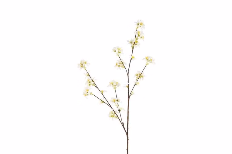 Countryfield zijden bloem Malus wit 111 cm