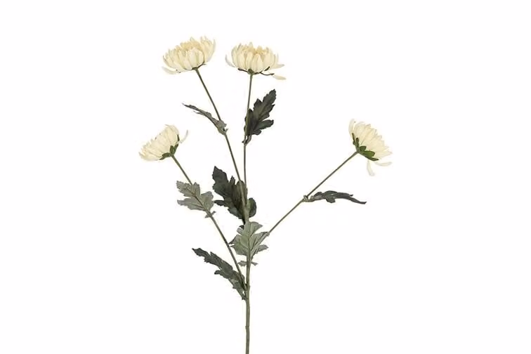 Countryfield zijden chrysanthemum crème 84 cm