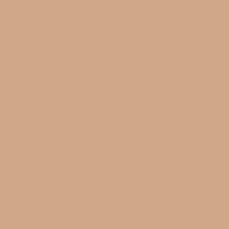 ESTAhome Muurverf Mat Terracotta Roze 2 l