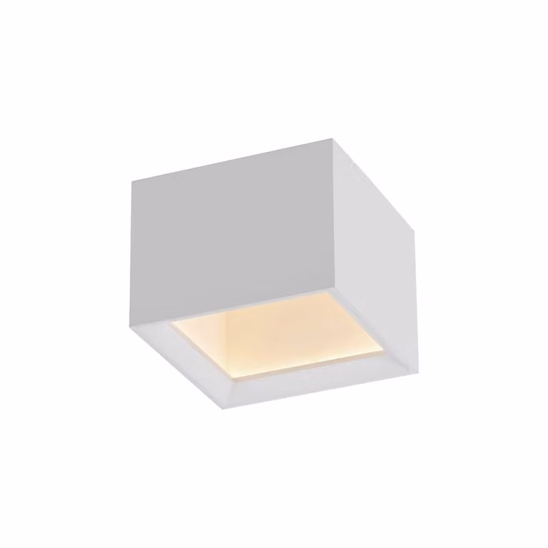 Paul Neuhaus Pure Manhattan Led opbouwspot wit