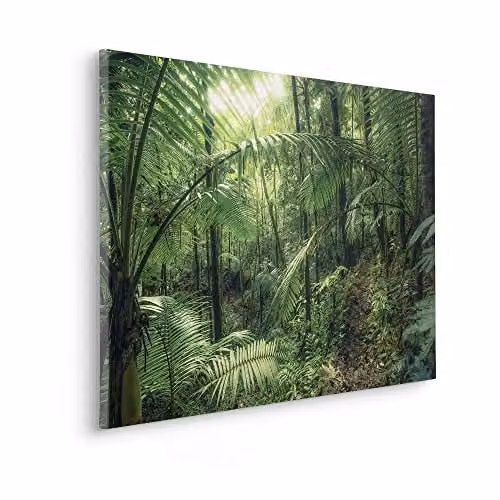 Komar Keilrahmenbild Jungleflair met landschapmotief in groen, geel en meerkleurig, B: 90 cm, D: 60 cm