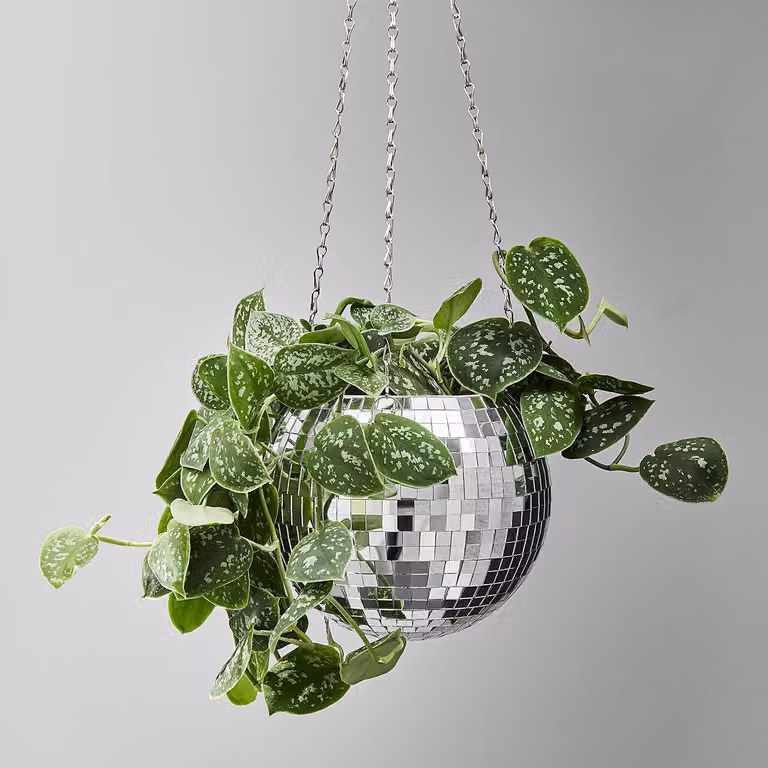 home24 Hangende bloempot zilver, Diameter: 15 cm
