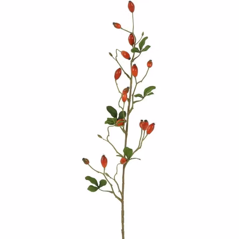 Countryfield zijden Rosa canina rood 83 cm