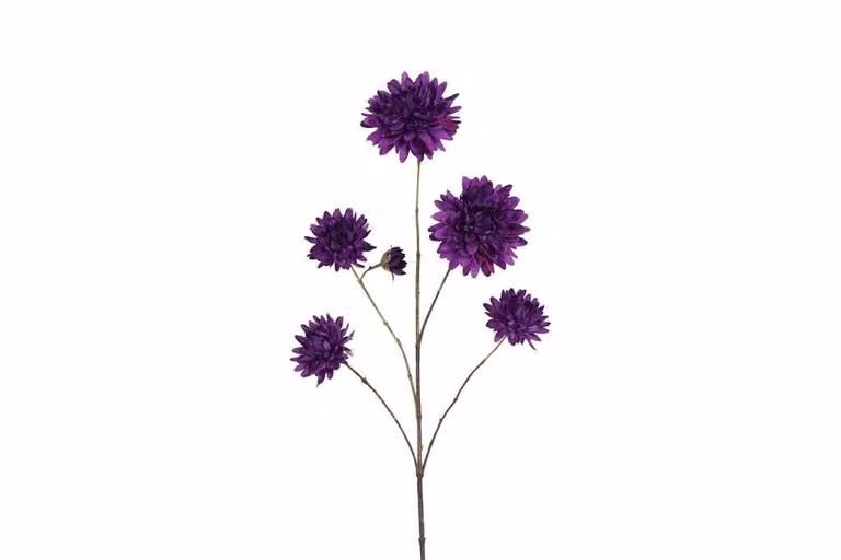 Countryfield zijden bloem Beau Dahlia pinnata donker paars, 98 cm