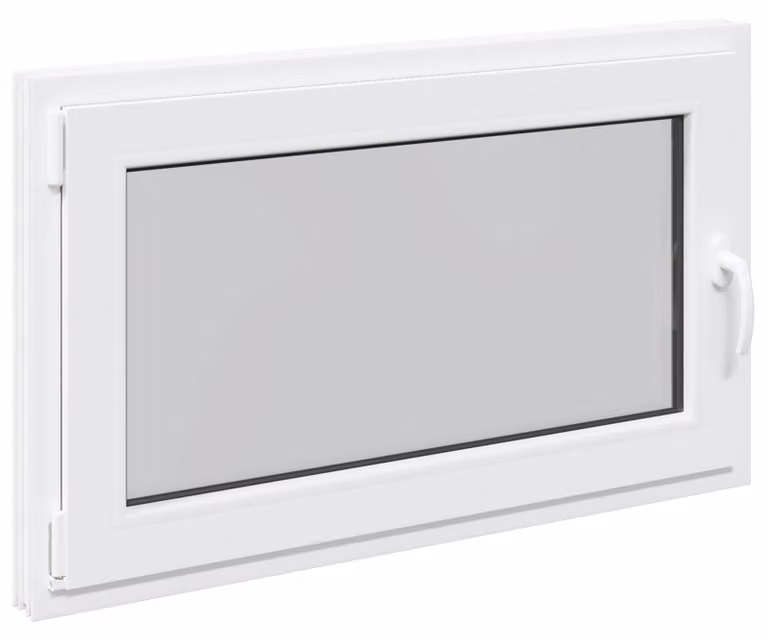 vidaXL Kipp- en draaikraam voor kelder, model RISOR, 100 x 60 cm