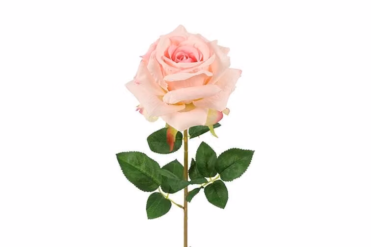 Countryfield zijden sjaal Rosa Compasion licht roze 72 cm
