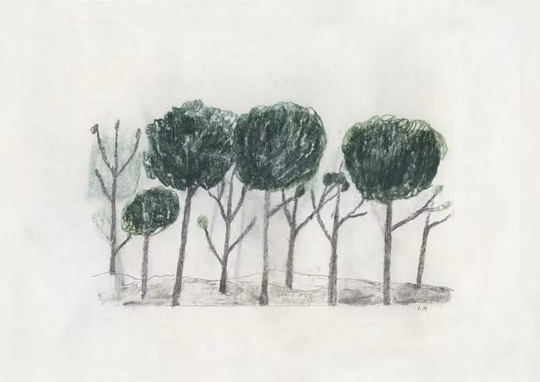 Fine Little Day Trees poster zwart en off-white, 50 x 70 cm