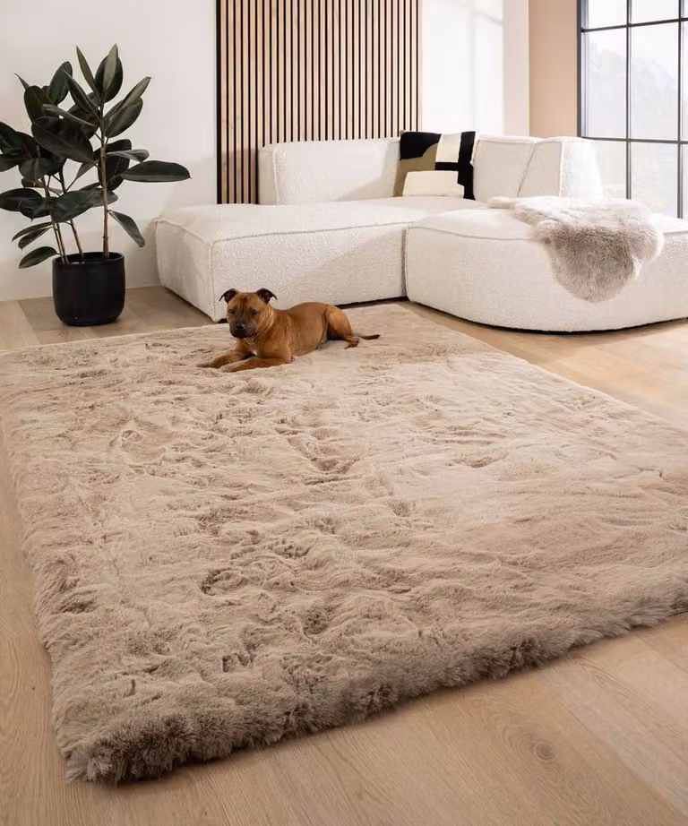 Comfy Deluxe Fluffy vloerkleed - Taupe - 140 x 200 cm
