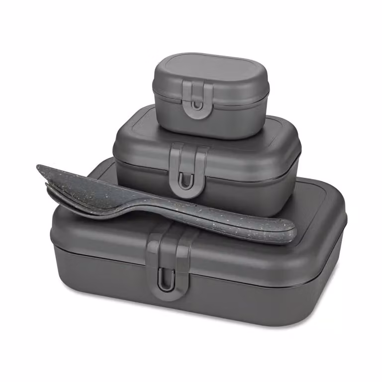 Koziol Pascal Ready Set 3-delige lunchboxset met bestek, grijs, B/D/H: 17 x 6 x 23 cm