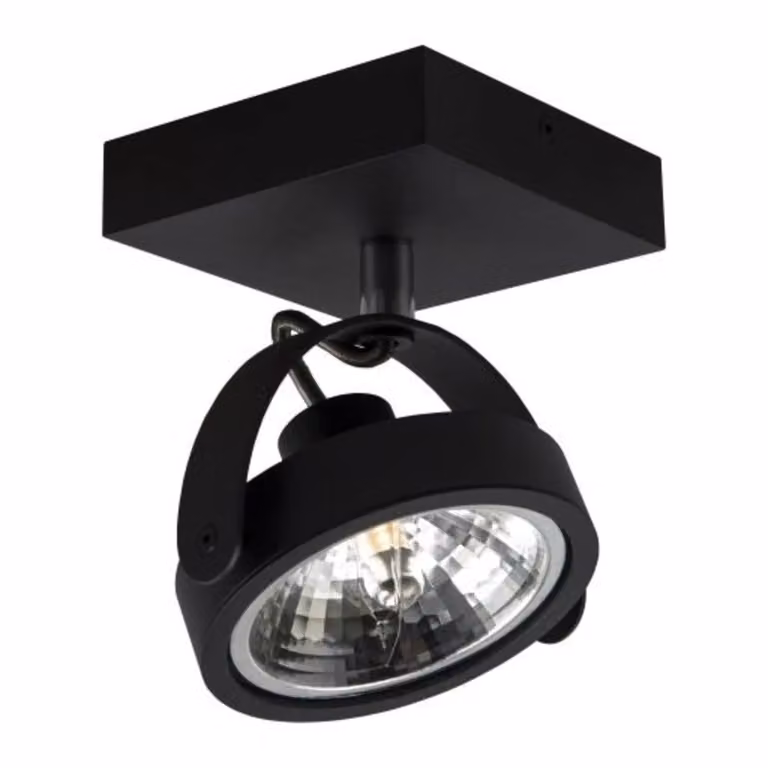Artdelight Wajer Opbouwspot - Zwart - Modern - LED - Dimbaar