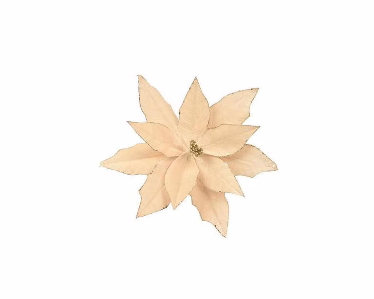 Beige Poinsettia met clip van fluweel, 35 cm