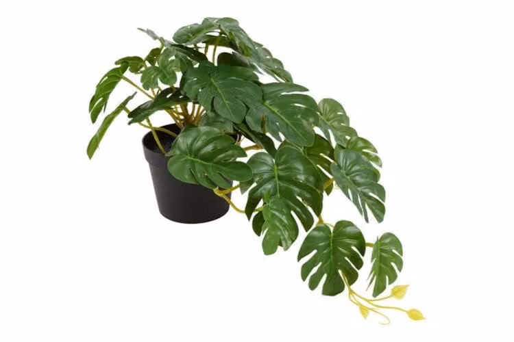 Countryfield zijden Monstera hangplant groen, 28 cm