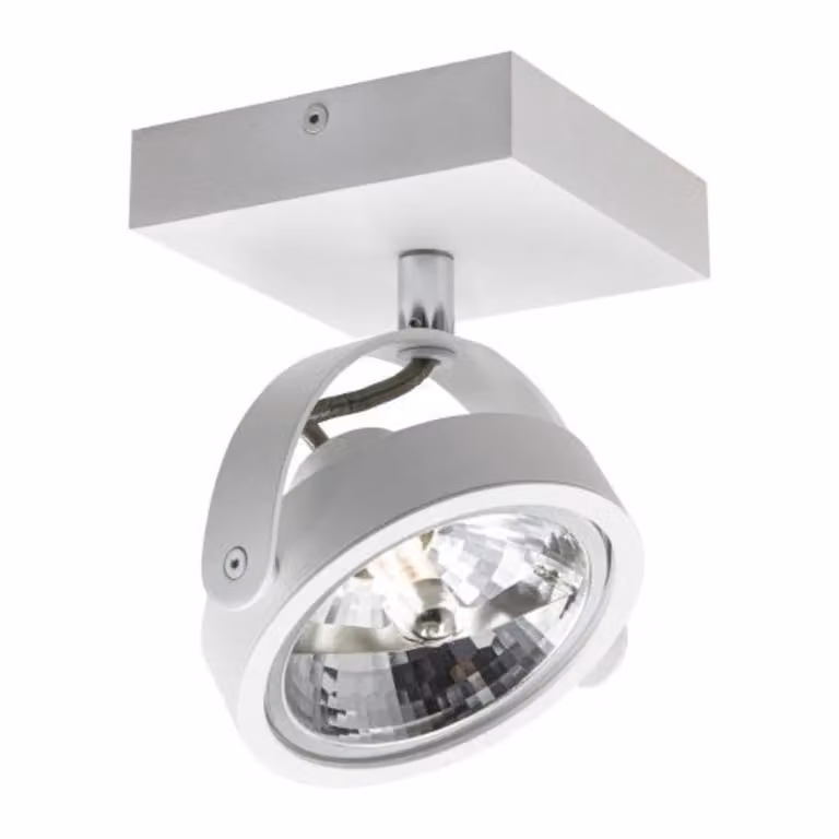 Artdelight Wajer Opbouwspot wit - Ronde LED-spot met dimbare warmwitte lichtbron