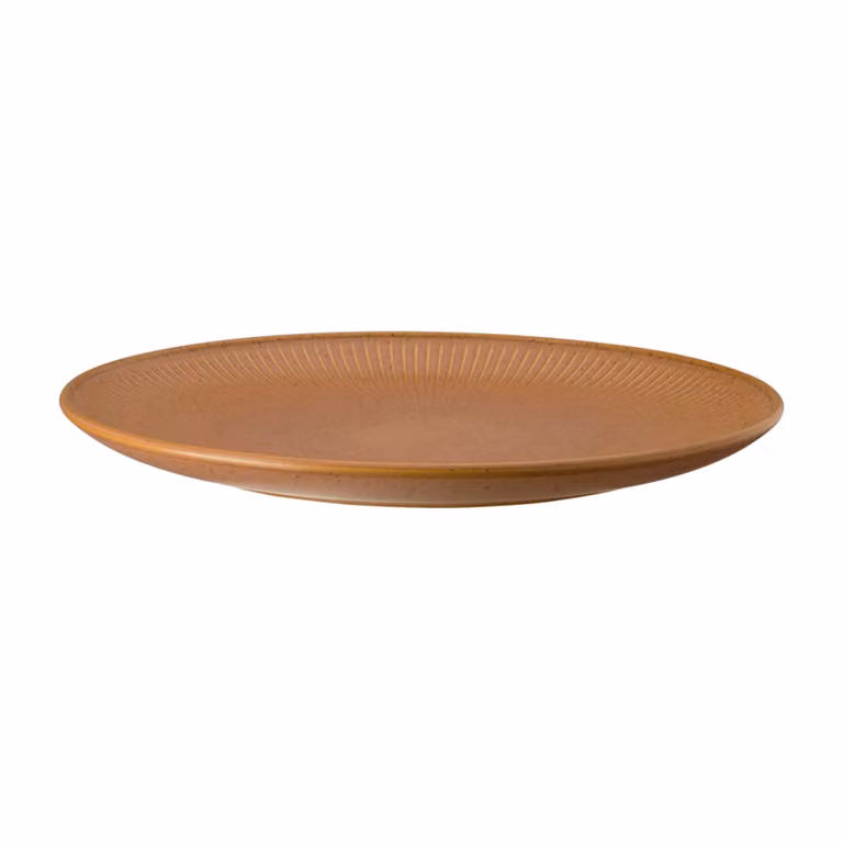 Rosenthal Thomas Clay dinerbord Oranje Ø 27 cm