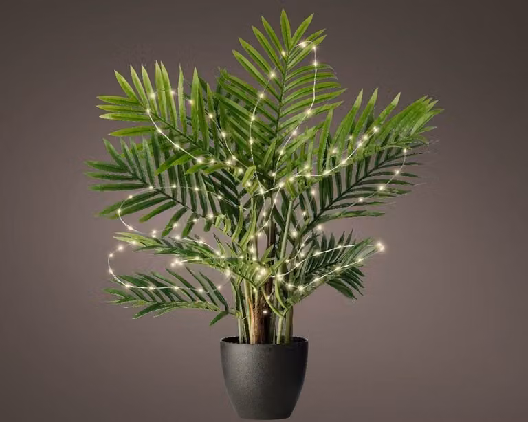 Lumineo Microled plantverlichting 60 lampjes warm wit