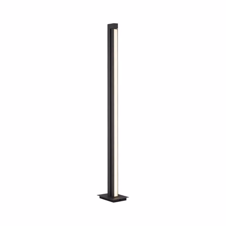 Paul Neuhaus Pure Lines LED vloerlamp, grafiet, 140 cm, dimbaar met afstandsbediening