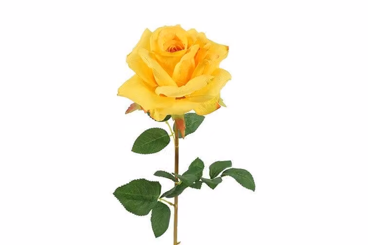 Countryfield zijden Rosa Compasion decoratie in geel, 72 cm