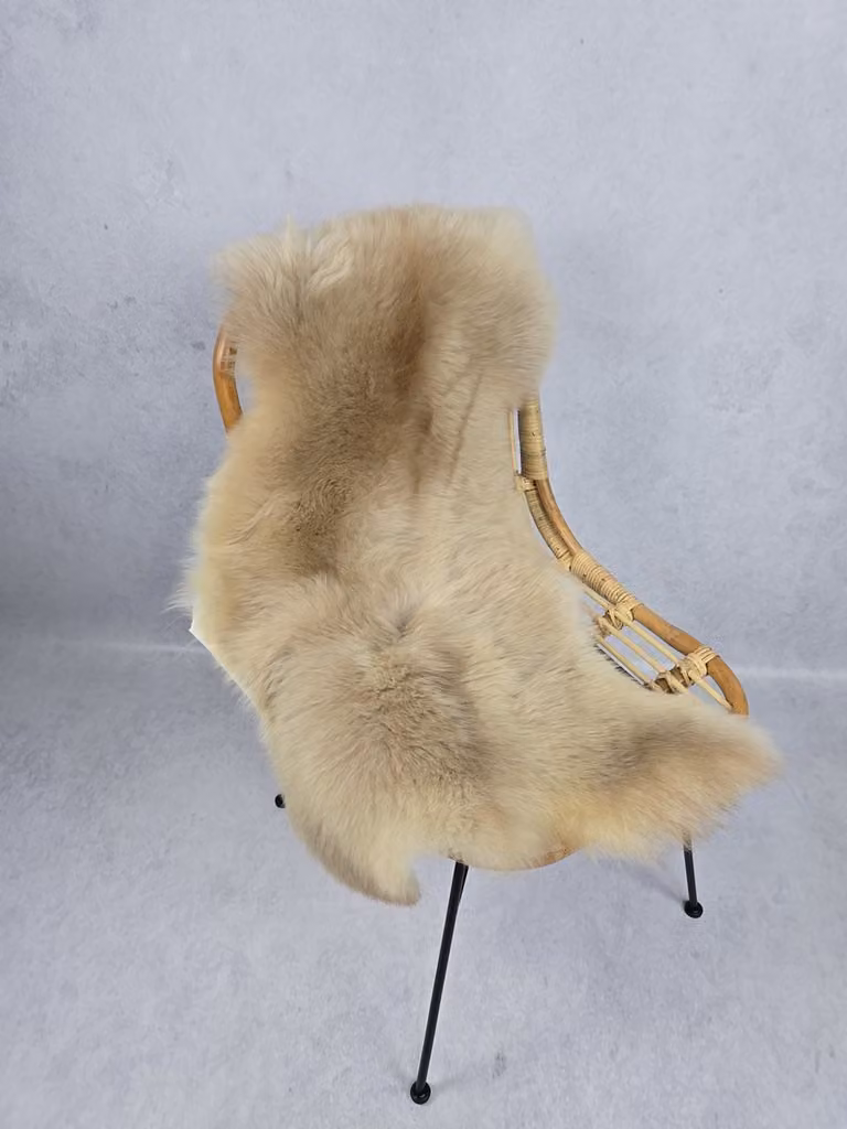 Schapenvacht Albanees Bèèèhst Genôch - 100% echt natuurlijke wollen vacht - Taupe, Bruin, Beige, Crème - 110 x 65 cm