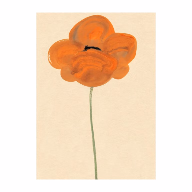 Paper Collective Poster Orange Vallmo B: 30 cm, H: 40 cm