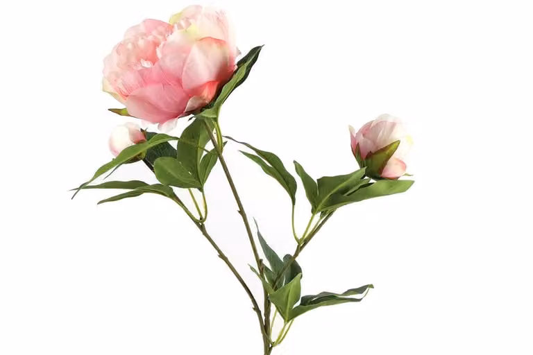 Countryfield zijden bloem Paeonia roze, 73 cm