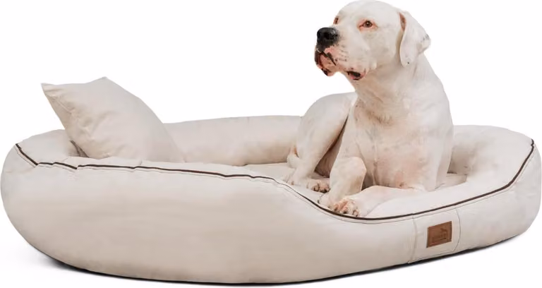 Tierlando Orthopedisch Hondenbed Marlon Visco Plus Fluweel Crème 170 x 110 cm
