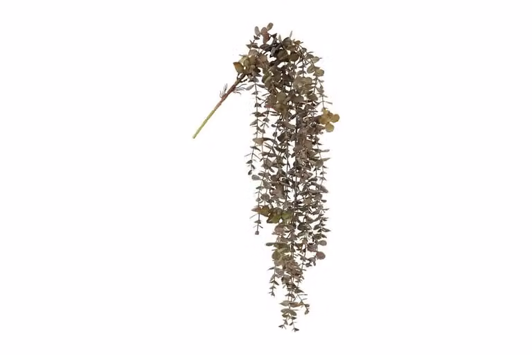 Countryfield zijden hangplant eucalyptus rood, 98 cm