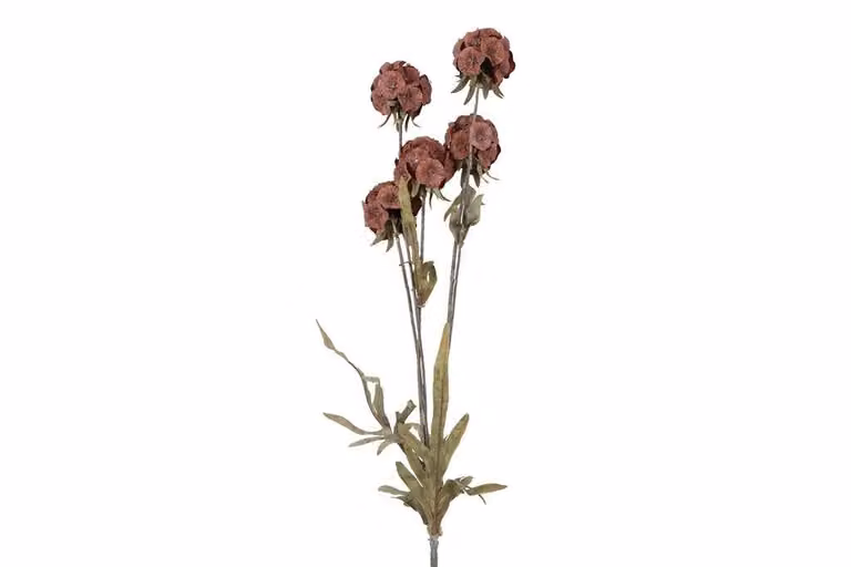 Countryfield zijden Scabiosa rood 81 cm