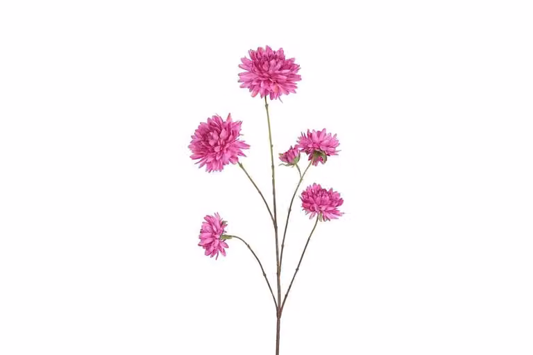 Countryfield zijden bloem Beau Dahlia pinnata paars 98 cm