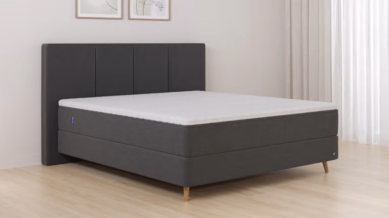BRUNO Original boxspring zwart B/D: 160 x 200 cm met pocketveren en houten frame