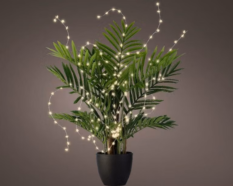 Lumineo Microled plantverlichting ster warm wit met 160 lampjes
