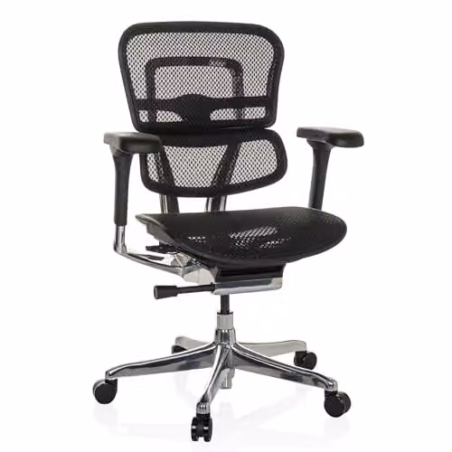 hjh OFFICE Ergohuman Base GEN2 Ergonomische Bureaustoel met flexibele lendensteun, Netzwart