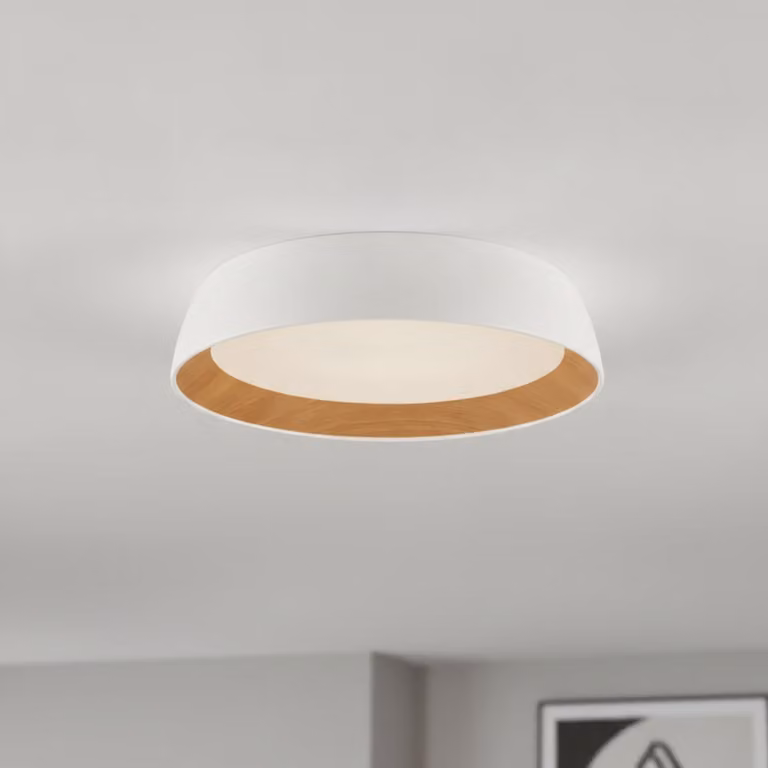 Lyora Plafondlamp Sigi wit met LED-module, Ø 45 cm