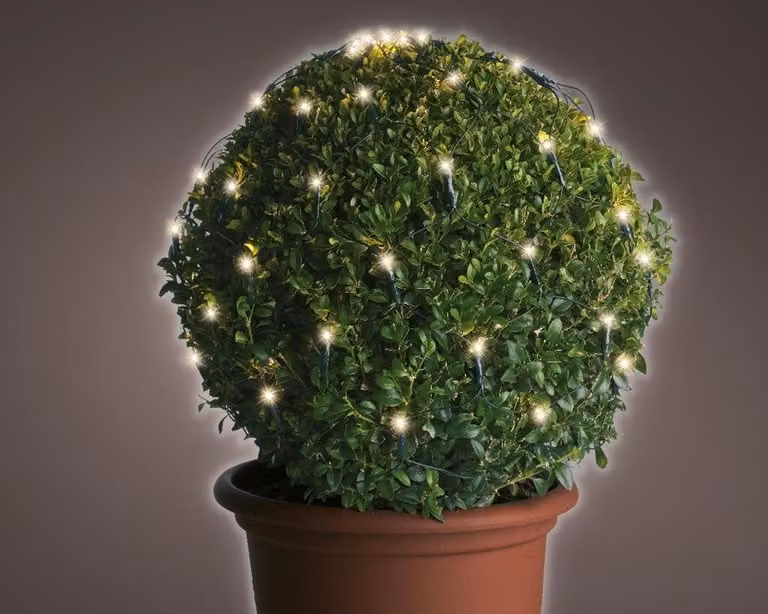 Lumineo Led net buxus verlichting met 60 lampjes, Diameter: 35 cm
