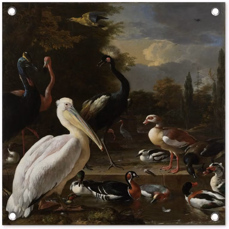Tuinposter Melchior d'Hondecoeter - Pelikaan en gevogelte bij waterbassin - Tuindecoratie 50 x 50 cm