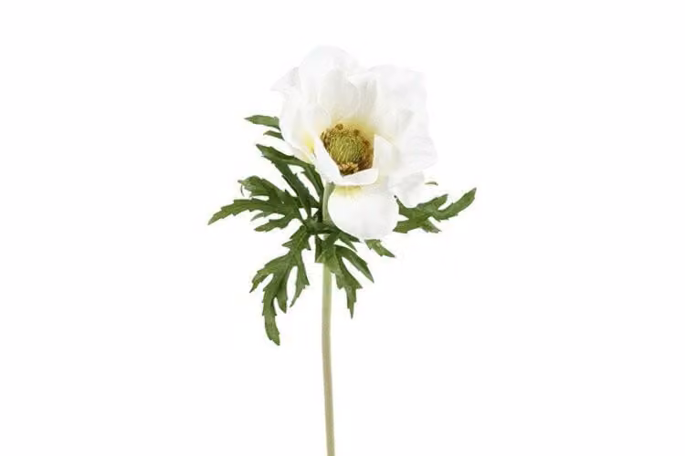Countryfield zijden bloem Anemone wit, Hoogte: 52 cm