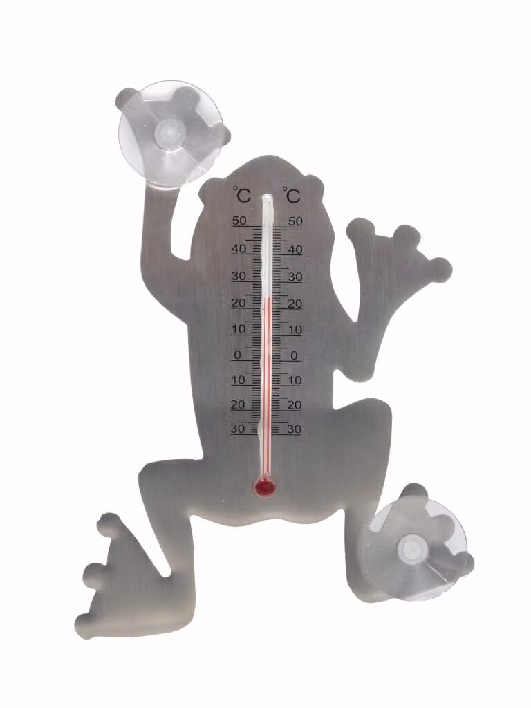 Nature metalen buitenthermometer met kikker ontwerp