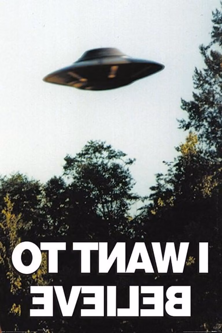 X-Files I Want To Believe Filmposter Wanddecoratie met Wissellijst Zwart 61 x 91,5 cm