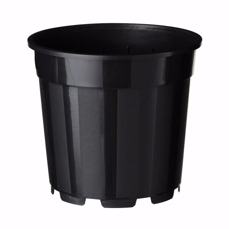 Nature Nature container met afwatering zwart 4,5 liter 2 stuks