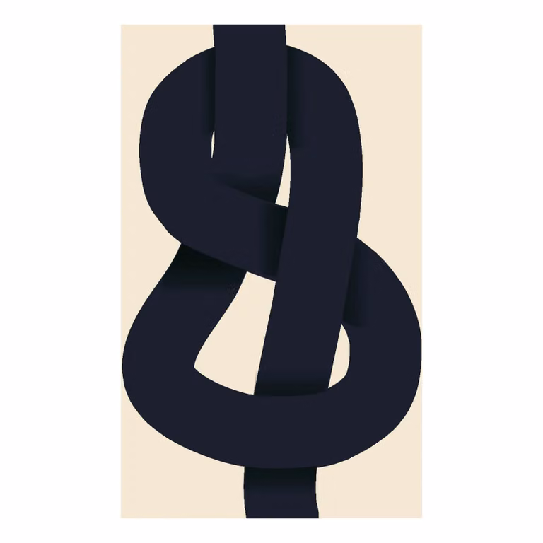Paper Collective The Knot grafische poster 50 x 70 cm