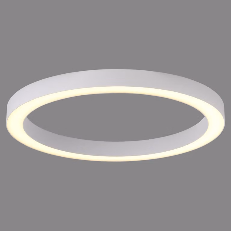 Paul Neuhaus Pure Lines Round LED plafondlamp - Wit - Ø 50 cm