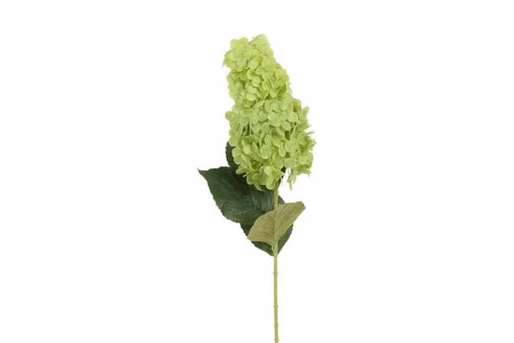Countryfield zijden Hydrangea Macrophylla 83 cm groen