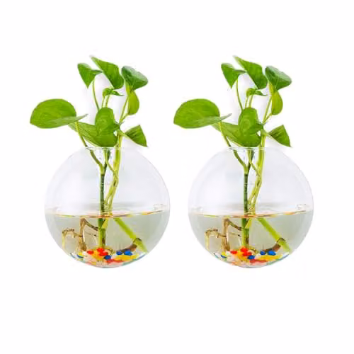 Glasseam Set van 2 Bolvormige Glazen Hangende Plantenbakken en Terrariums met Kleurrijke Stenen