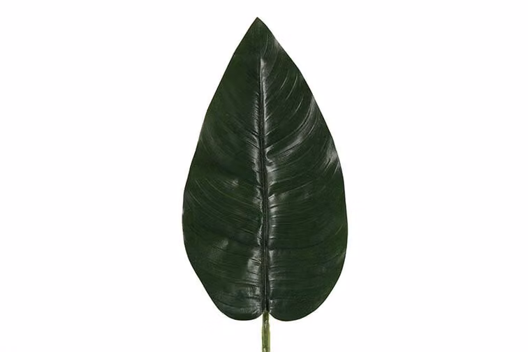 Countryfield zijden tak spathiphyllum Vaja groen, 75 cm