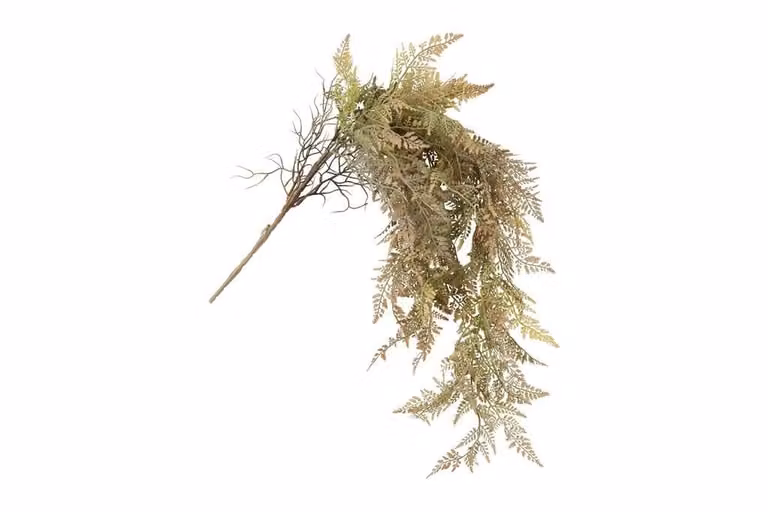 Countryfield zijden hangplant Dryopteris, bruin, 90 cm