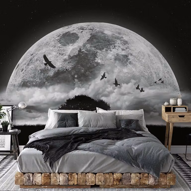 home24 Fotobehang Moon and Birds 3 x 2 cm