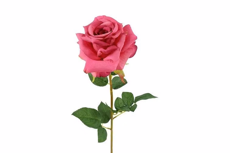 Countryfield zijden Rosa Compasion kussen diep roze 72 cm