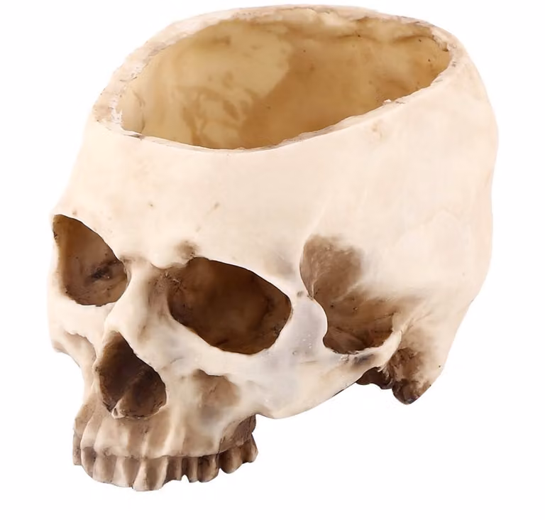 Allecto Schedel Vormige Bloempot Halloween Decoratie Groot Formaat Hars 8,7 Liter